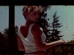 A Ladies lady  1981 